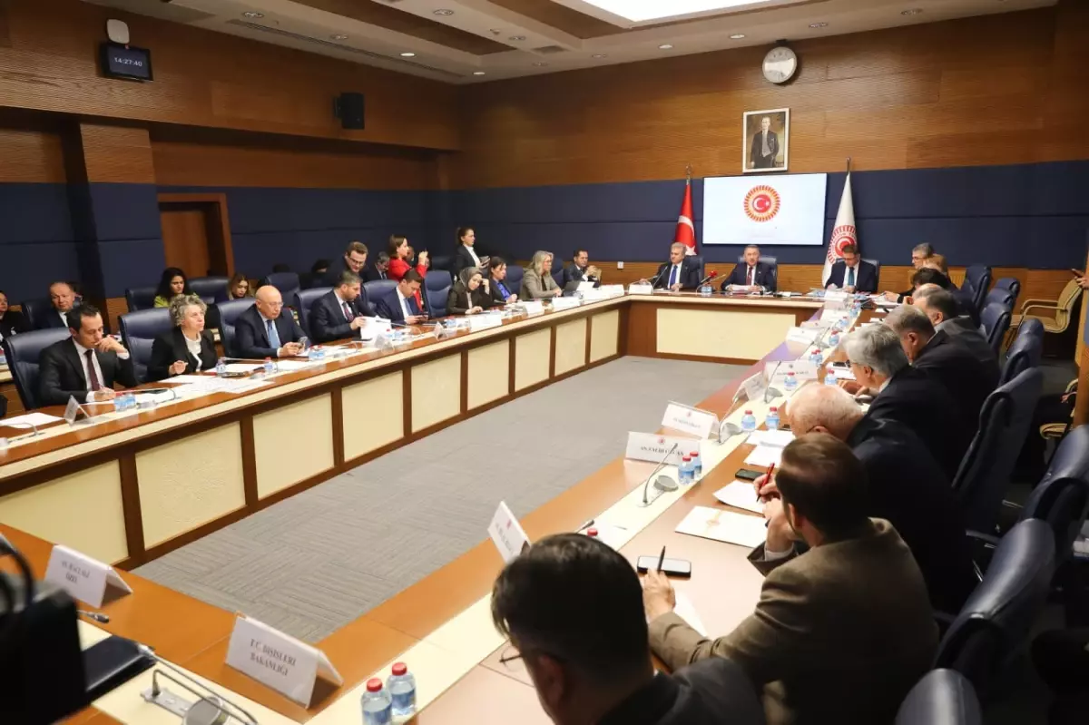 Dışişleri Komisyonu Başkanı Oktay: SDG'ye düşen görev Suriye hükümeti ile entegrasyonu sağlamaktır