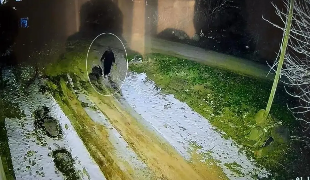 Diyarbakır'da kayıp kadının son görüntüsü ortaya çıktı