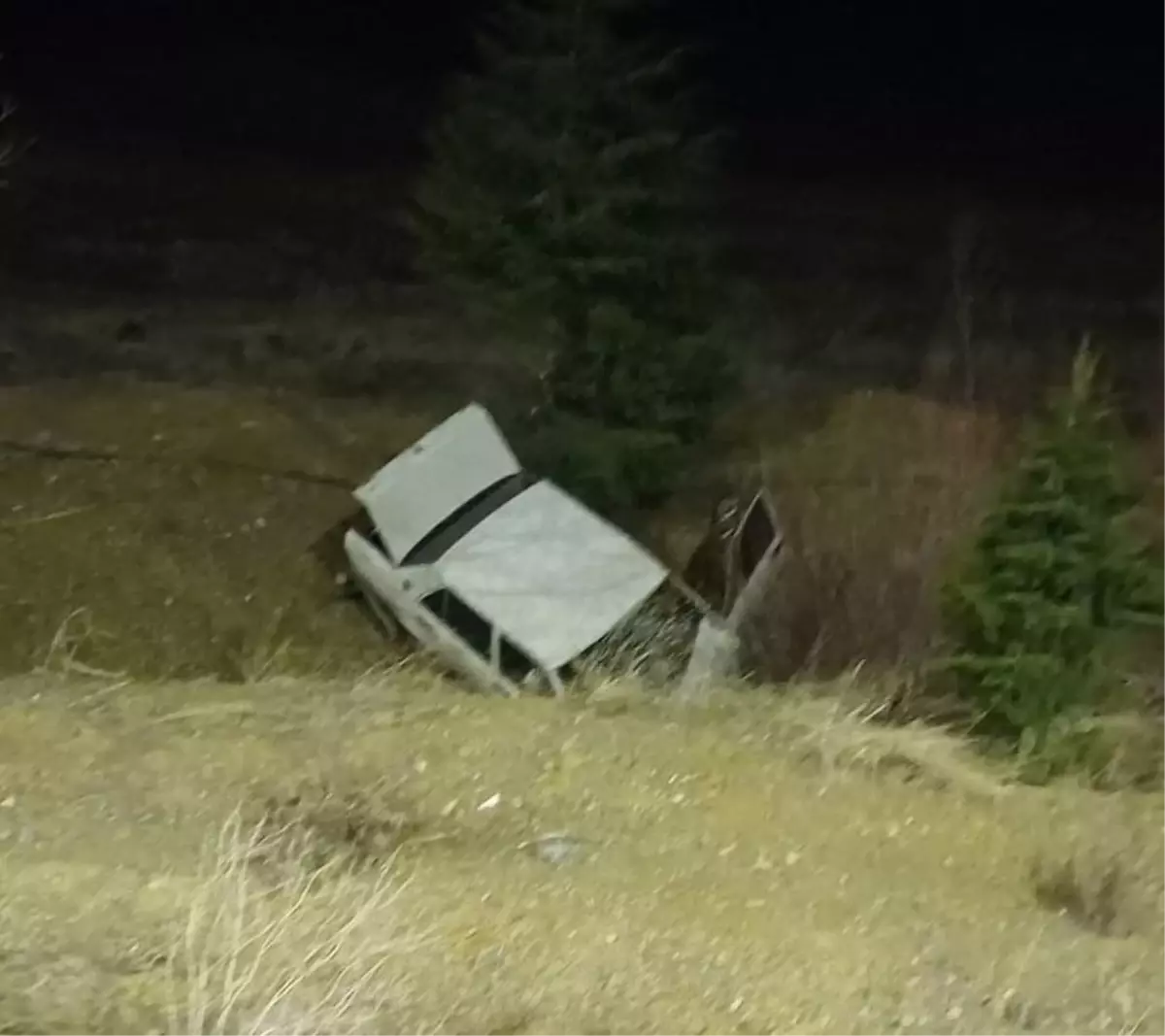 Domuza Çarpan Otomobil Şarampole Yuvarlandı: 1 Ölü