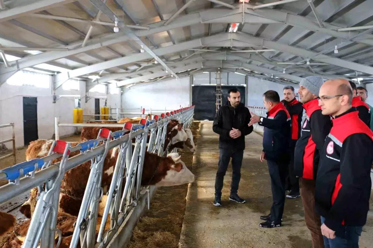 Erzincan'da hibe desteğiyle kurulan tesis üretime başladı