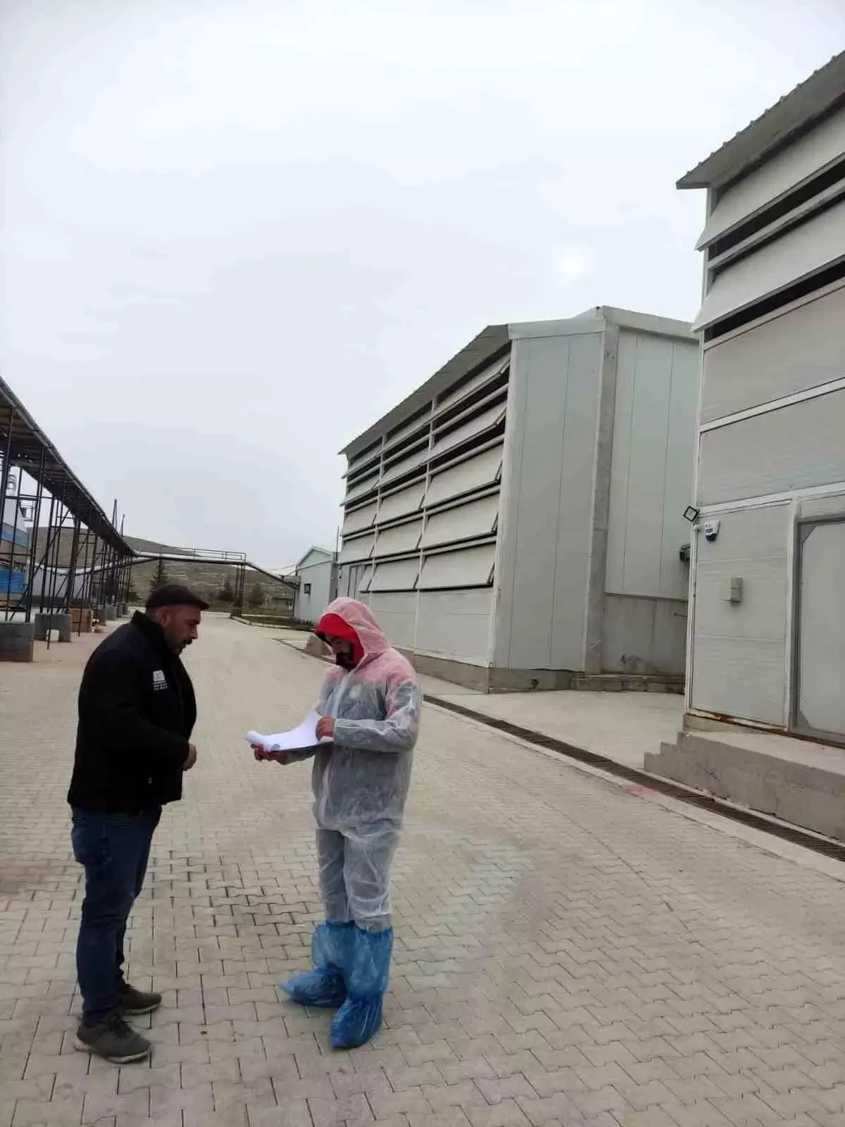 Kanatlı hayvan ve yumurta üretim tesislerinde denetim