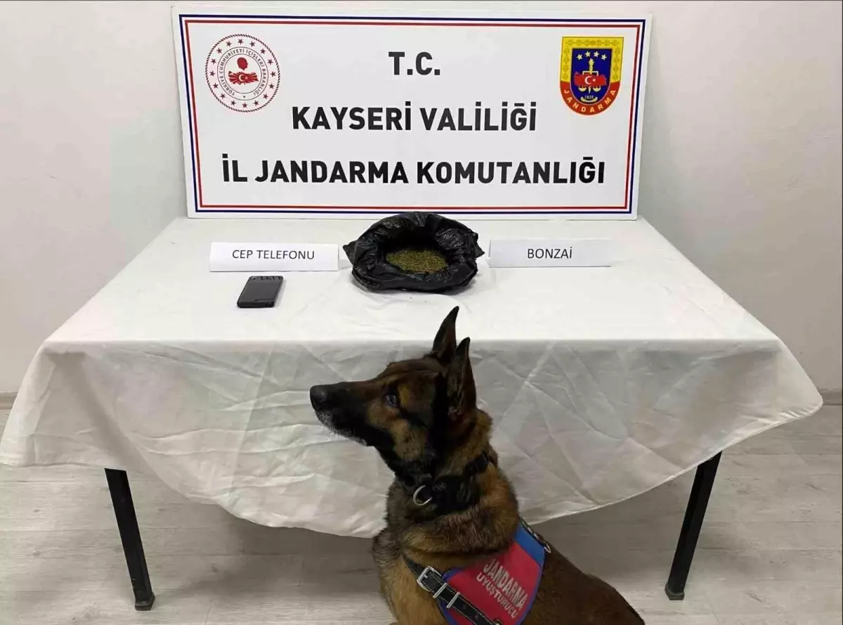 Kayseri'de uyuşturucu operasyonu: 1 gözaltı