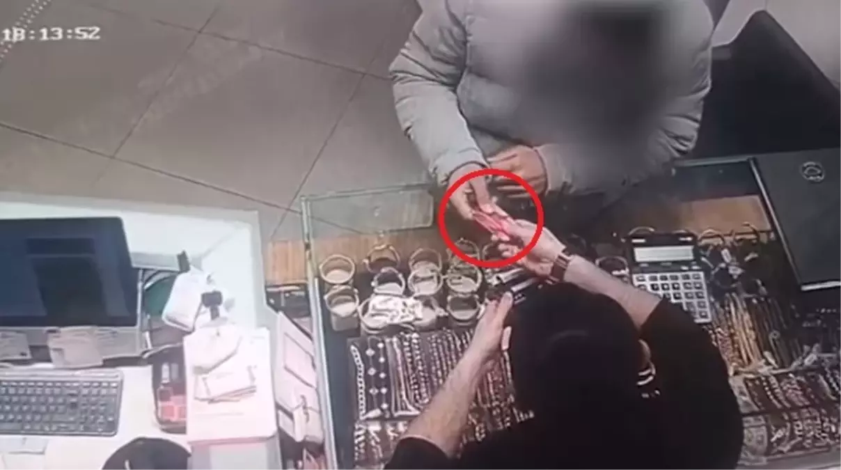 Kedilere mama siparişi vermek için yardım istedi, 182 bin TL dolandırıldı