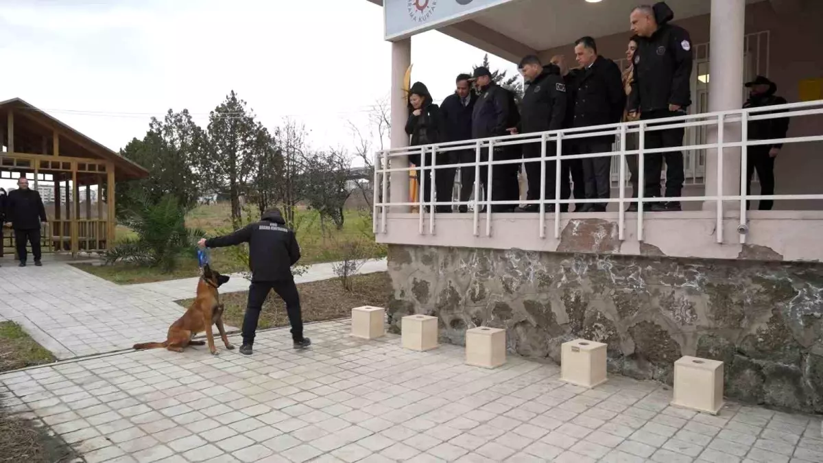 OMÜ'de yetiştirilen görev köpeği 'Pars', Samsun Emniyeti'ne teslim edildi
