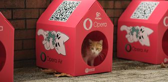 Opera'dan sokak kedileri için sürdürülebilir yaşam alanı: 'Kedi Mahallesi'