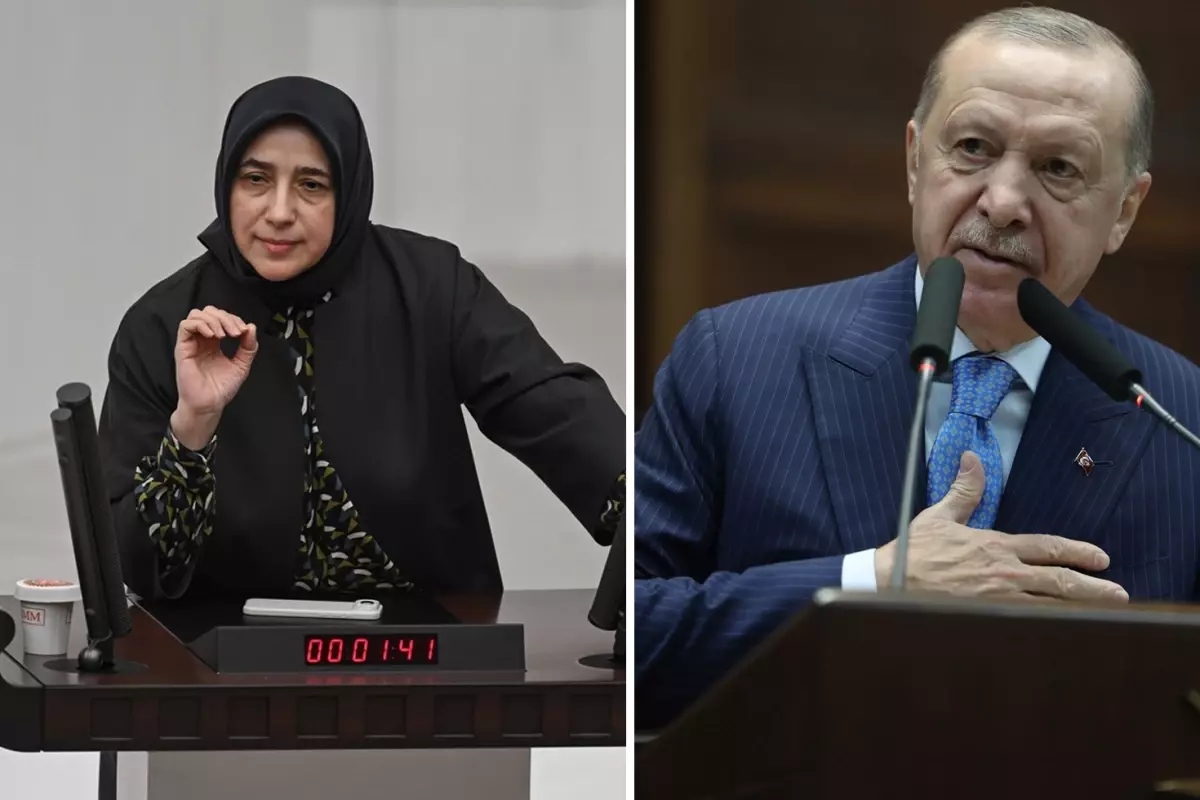 Özlem Zengin'in emekli maaşıyla ilgili sözleri gündem oldu