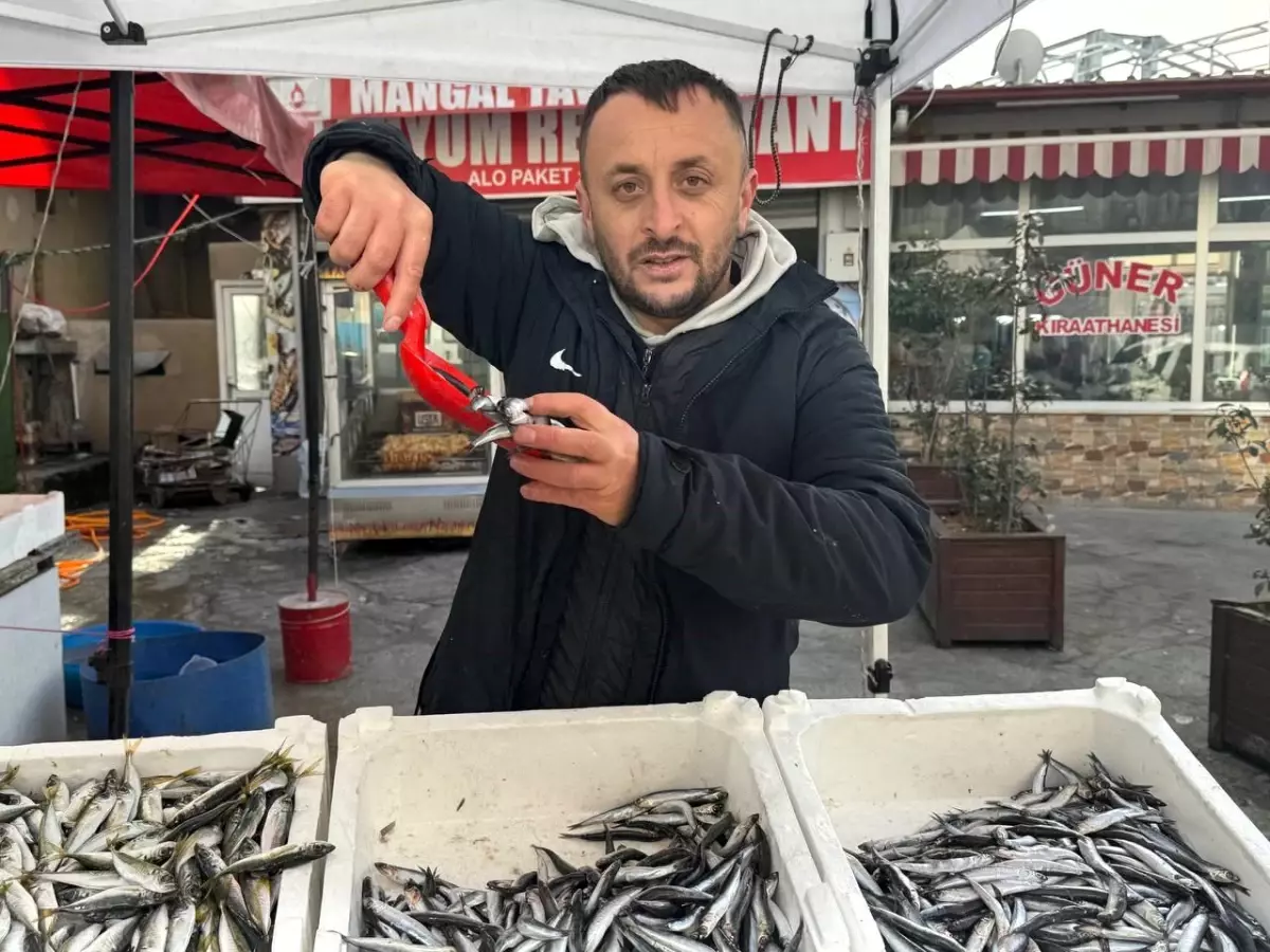 Zonguldak'ta tezgahlar istavritle şenlendi