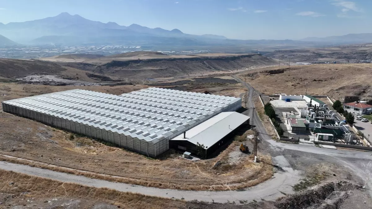 14 bin 500 konutun elektriği çöpten karşılanıyor; tesisin soğutma suyuyla 450 ton domates üretiliyor