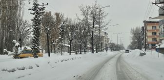 Ağrı ve Kars'ta kar ve tipi etkili oluyor