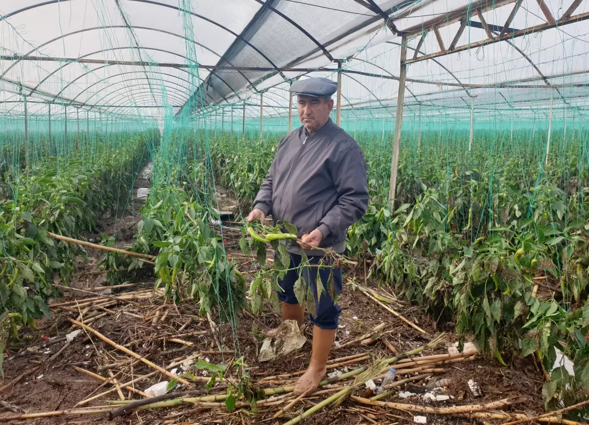 Antalya'da tarım alanlarını su bastı; mahsur kalanlar, iş makinesi ve botlarla kurtarıldı