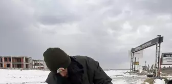 Batman'da kuşlar için doğaya yem bırakıldı