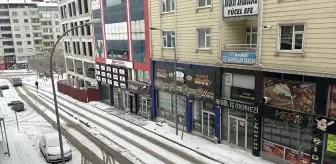 Erzurum, Kars, Ardahan ile Iğdır'da kar yağışı ve soğuk hava etkili oluyor
