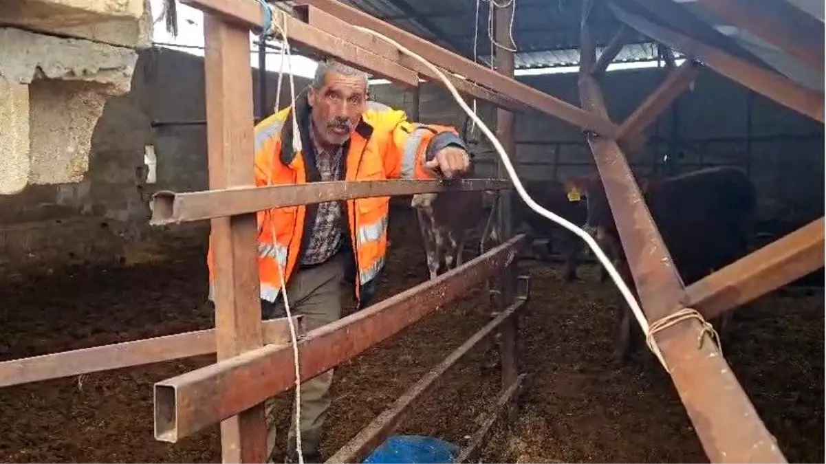 Gaziantep'te yoğun kar yağışı sonrası ahırın çatısı çöktü