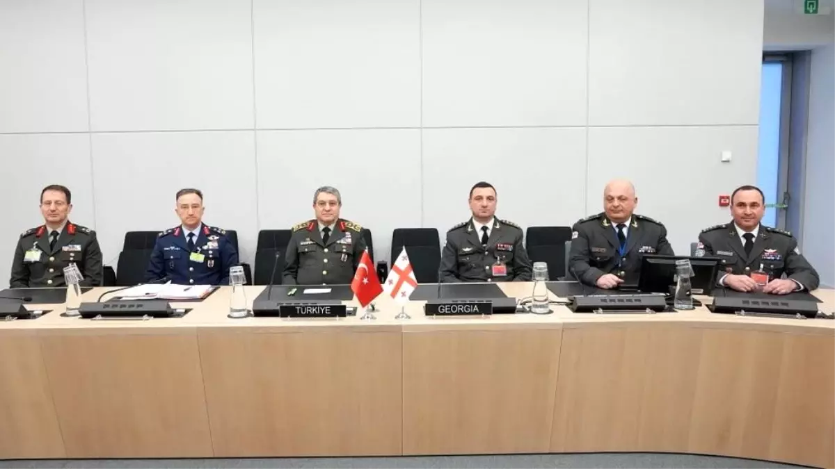 Genelkurmay Başkanı Orgeneral Bayraktaroğlu, Gürcü ve Japon mevkidaşlarıyla görüştü