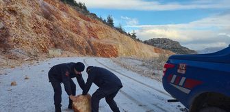 Harmankaya Kanyonu Tabiat Parkı yoluna kaya parçaları düştü