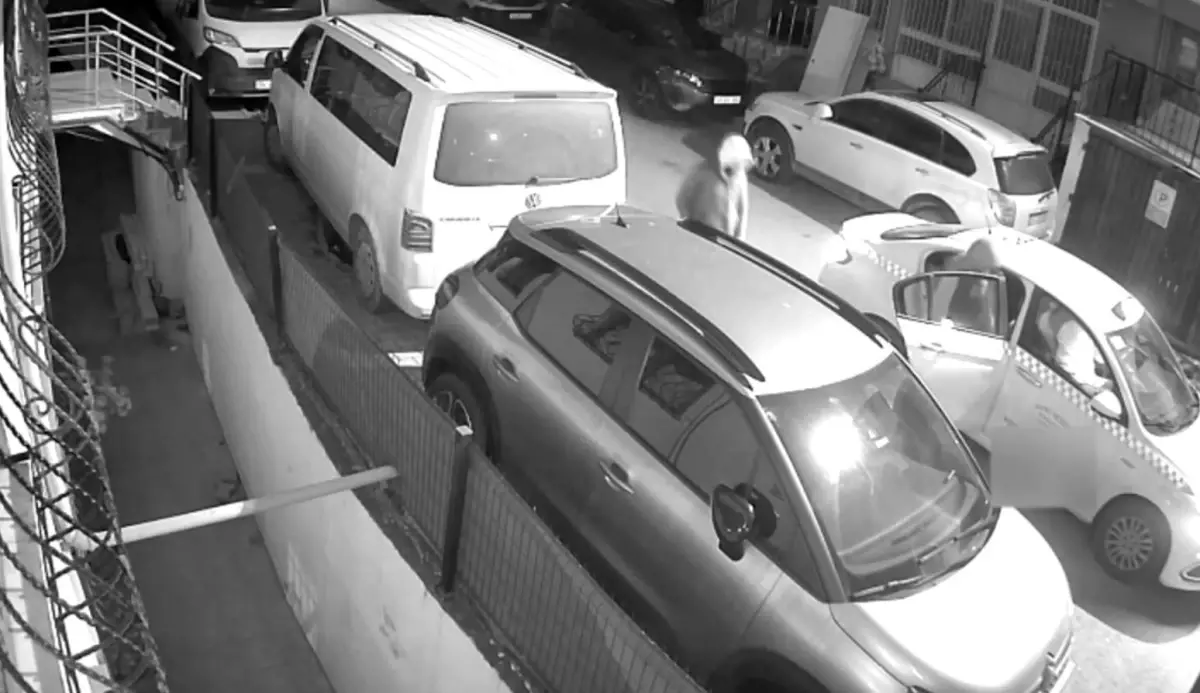 İstanbul'da iş yerine silahlı saldırı: 6 gözaltı