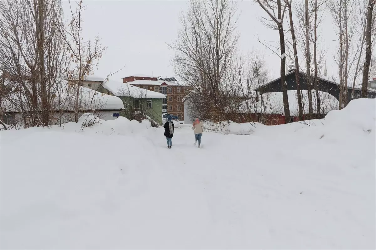 Karlıova'da kar yağışı etkisini sürdürüyor