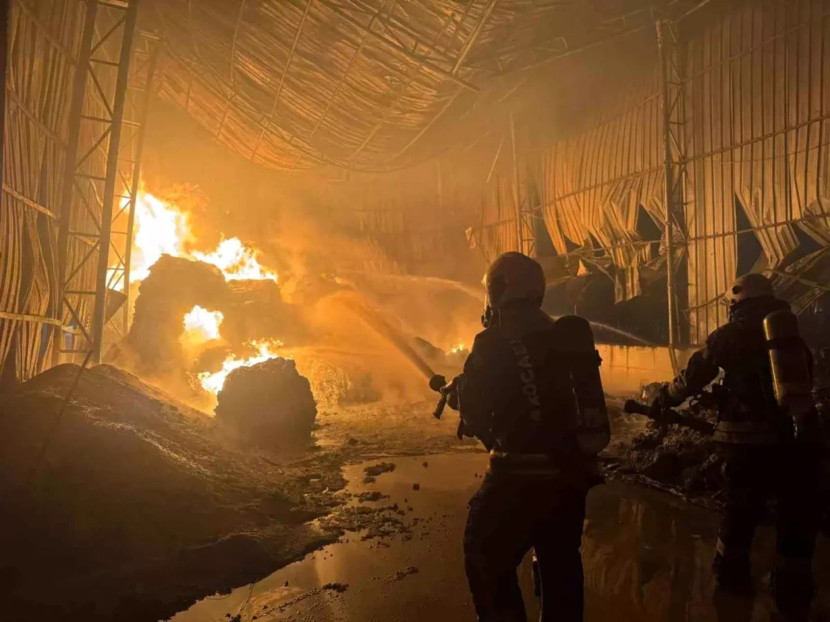 Kocaeli'de atık naylon deposunda yangın