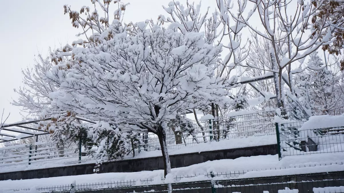 Şırnak'ta kardan 35 köy yolu kapandı, uçuşlar iptal edildi