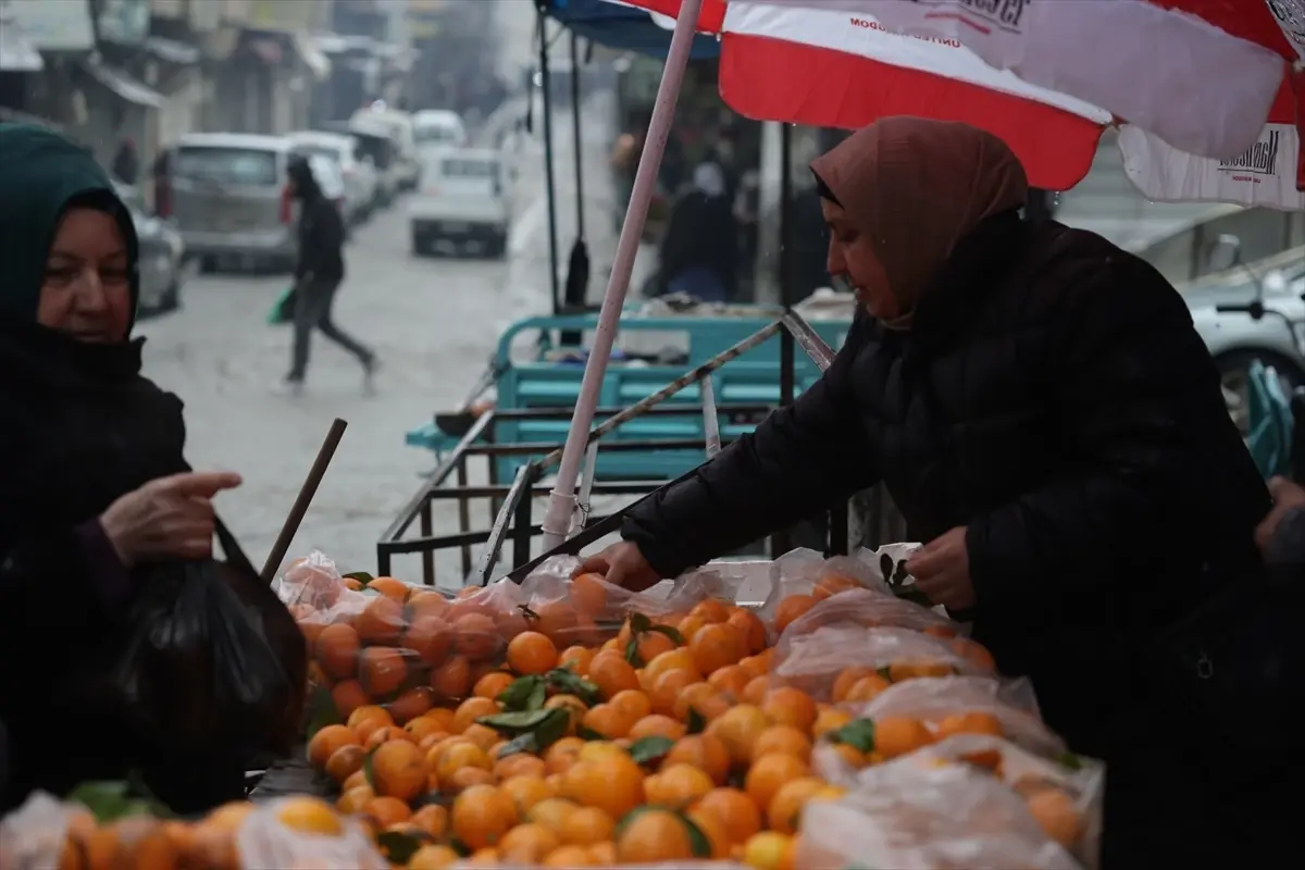 Suriye'nin Halep kentinde terör örgütü YPG/SDG'den kurtarılan mahallelerde hayat normale dönüyor