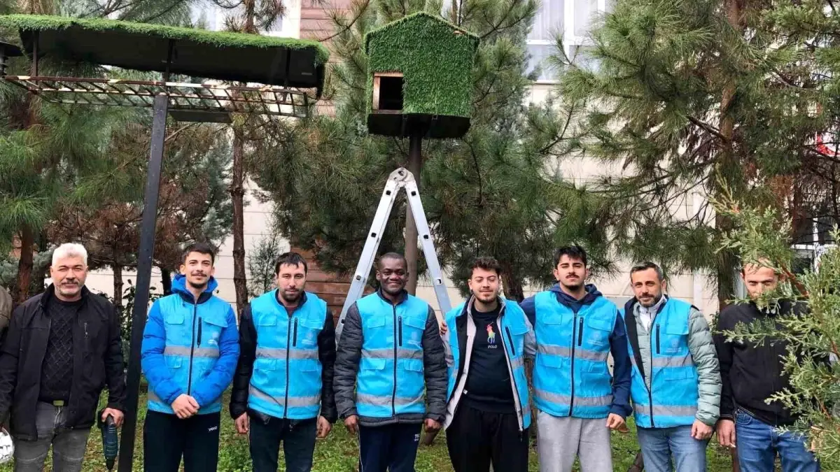 Yurt öğrencileri kuşlar için ev yaptılar