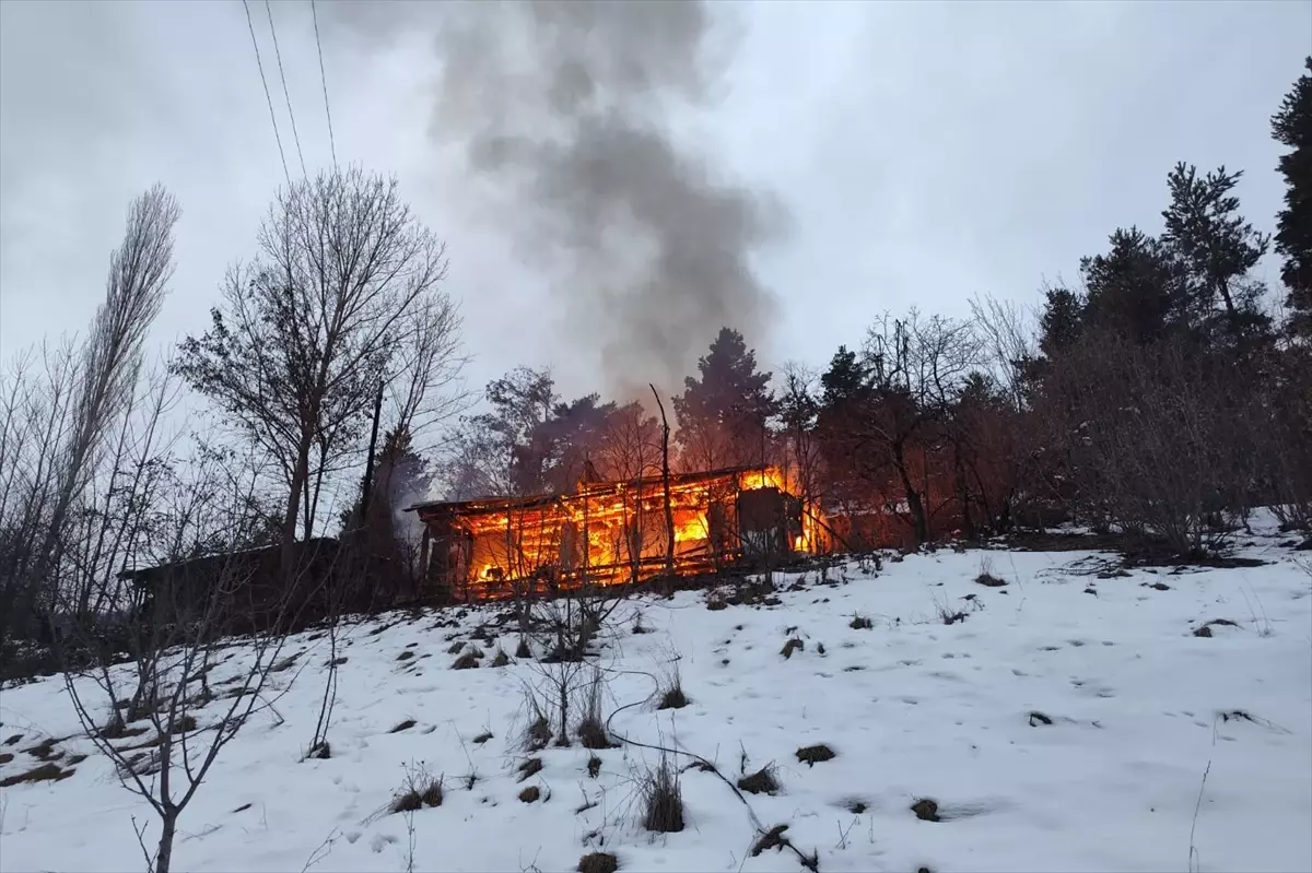Artvin'de çıkan yangında ahşap ev kullanılamaz hale geldi