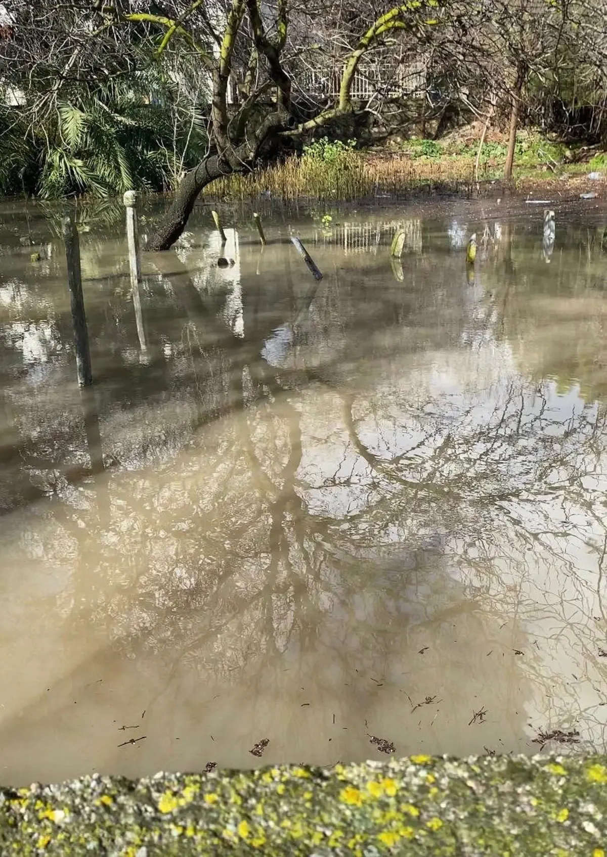 Çeşme'de sağanak etkili oldu; pazaryeri ve mezarlık su altında kaldı