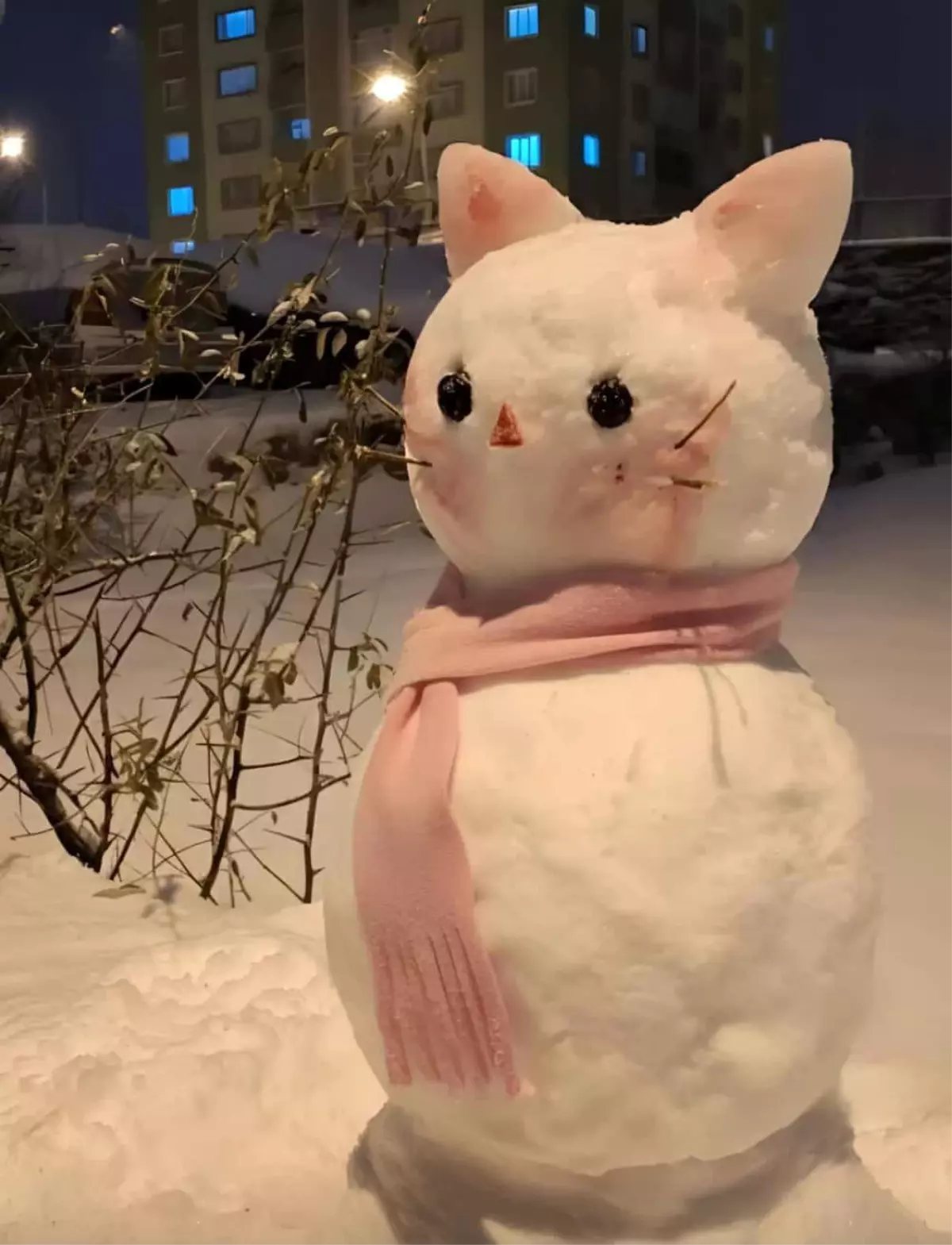 Diyarbakır'ın en güzel kardan adamı seçildi