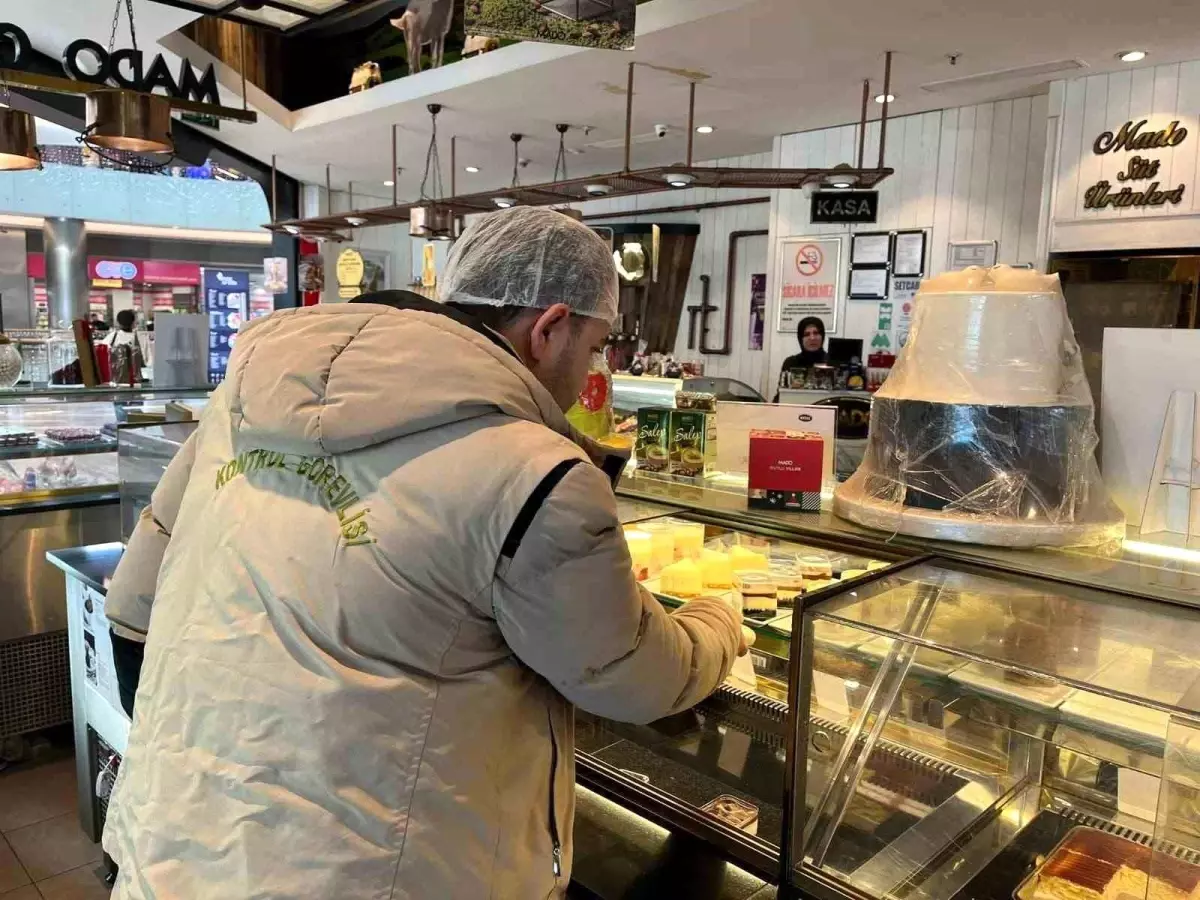 Gıda işletmelerine yönelik denetim