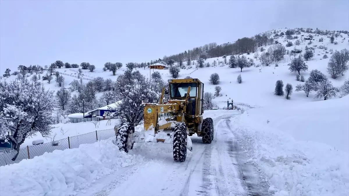 Giresun ve Gümüşhane'de 84 köy yolunda karla mücadele sürüyor