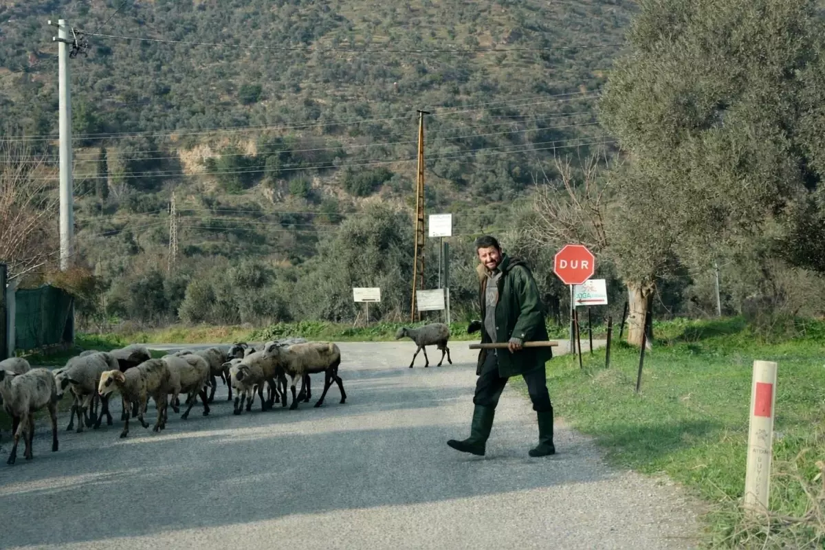 Havalar ısındı, sürüler doğaya salındı
