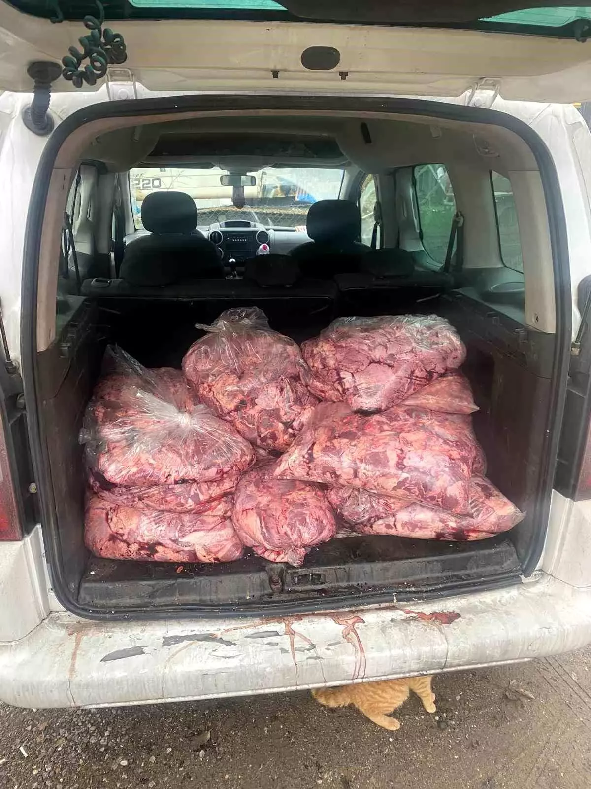 Jandarmanın durdurduğu araçtan 450 kilo bozulmuş et çıktı