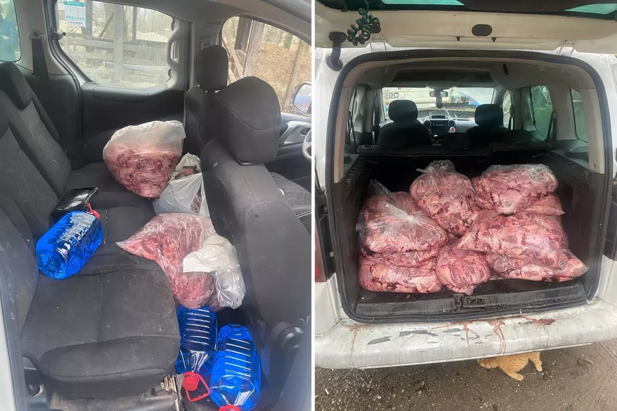 Jandarmanın durdurduğu araçtan 450 kilo bozulmuş et çıktı
