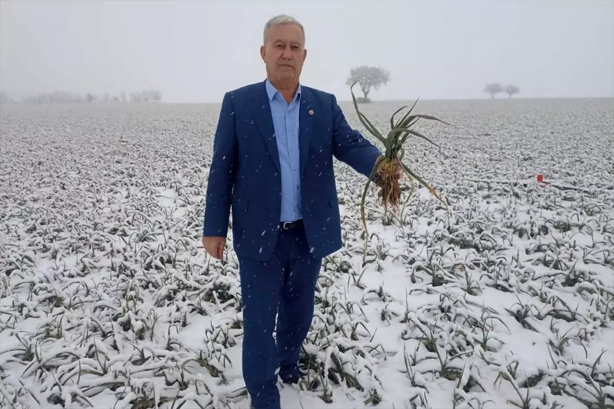 Kar yağışı çiftçileri sevindirdi