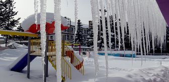 Kars ve Ardahan'da soğuk hava etkili oluyor