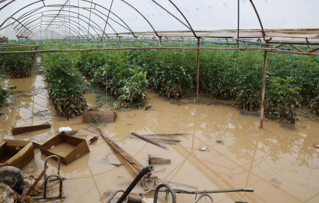 sari kod la uyarilan antalya da tarim alanlari 19499513 2746 m