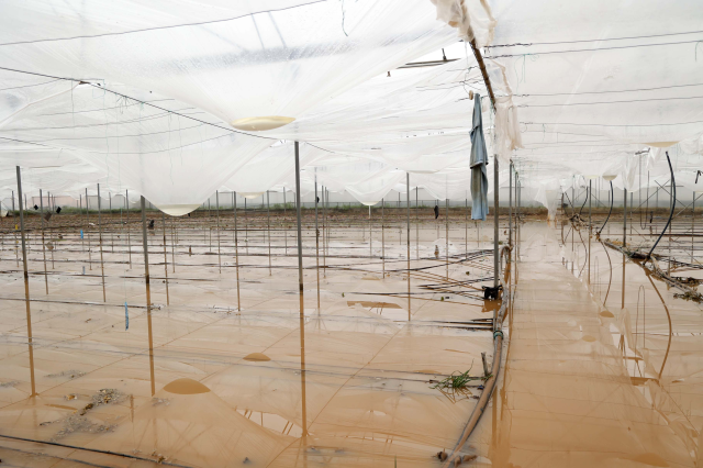 sari kod la uyarilan antalya da tarim alanlari 19499513 3925 m