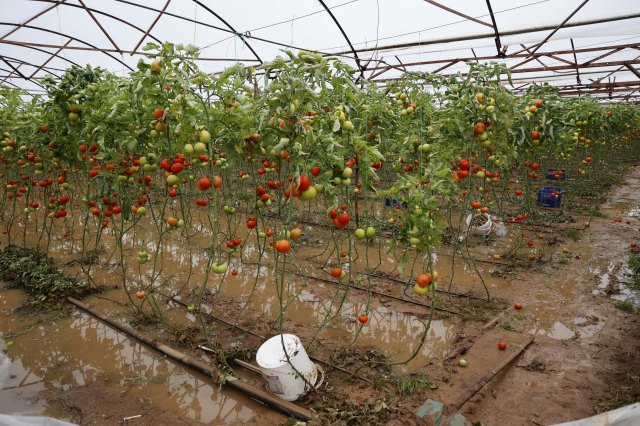 sari kod la uyarilan antalya da tarim alanlari 19499513 680 m