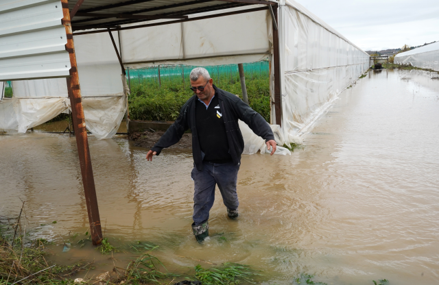 sari kod la uyarilan antalya da tarim alanlari 19499513 7086 m