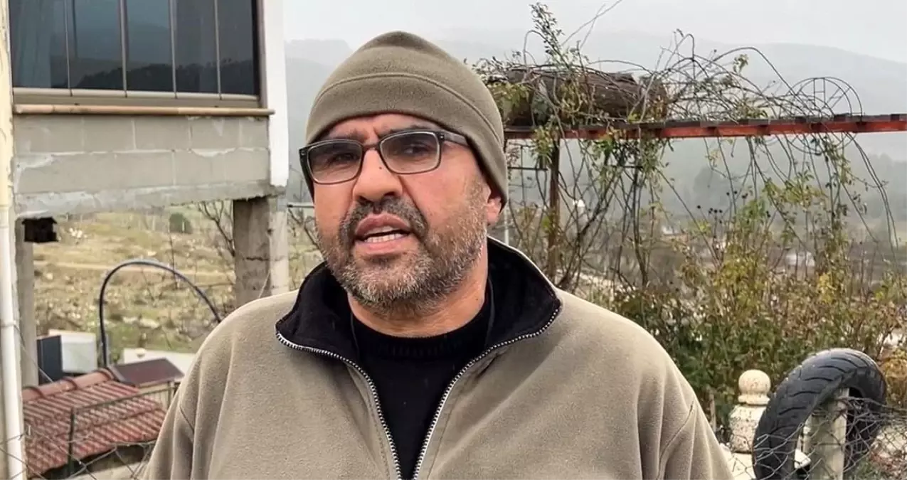 Sokak köpekleri, sahipli köpeği parçaladı