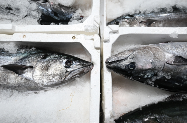 Вернулся в Мраморное море спустя 40 лет! Цена 3 тысячи 500 лир