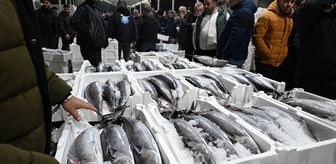 40 yıl sonra Marmara'ya döndü! Fiyatı 3 bin 500 TL