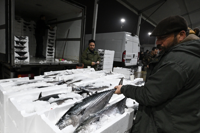 Вернулся в Мраморное море спустя 40 лет! Цена 3 тысячи 500 лир