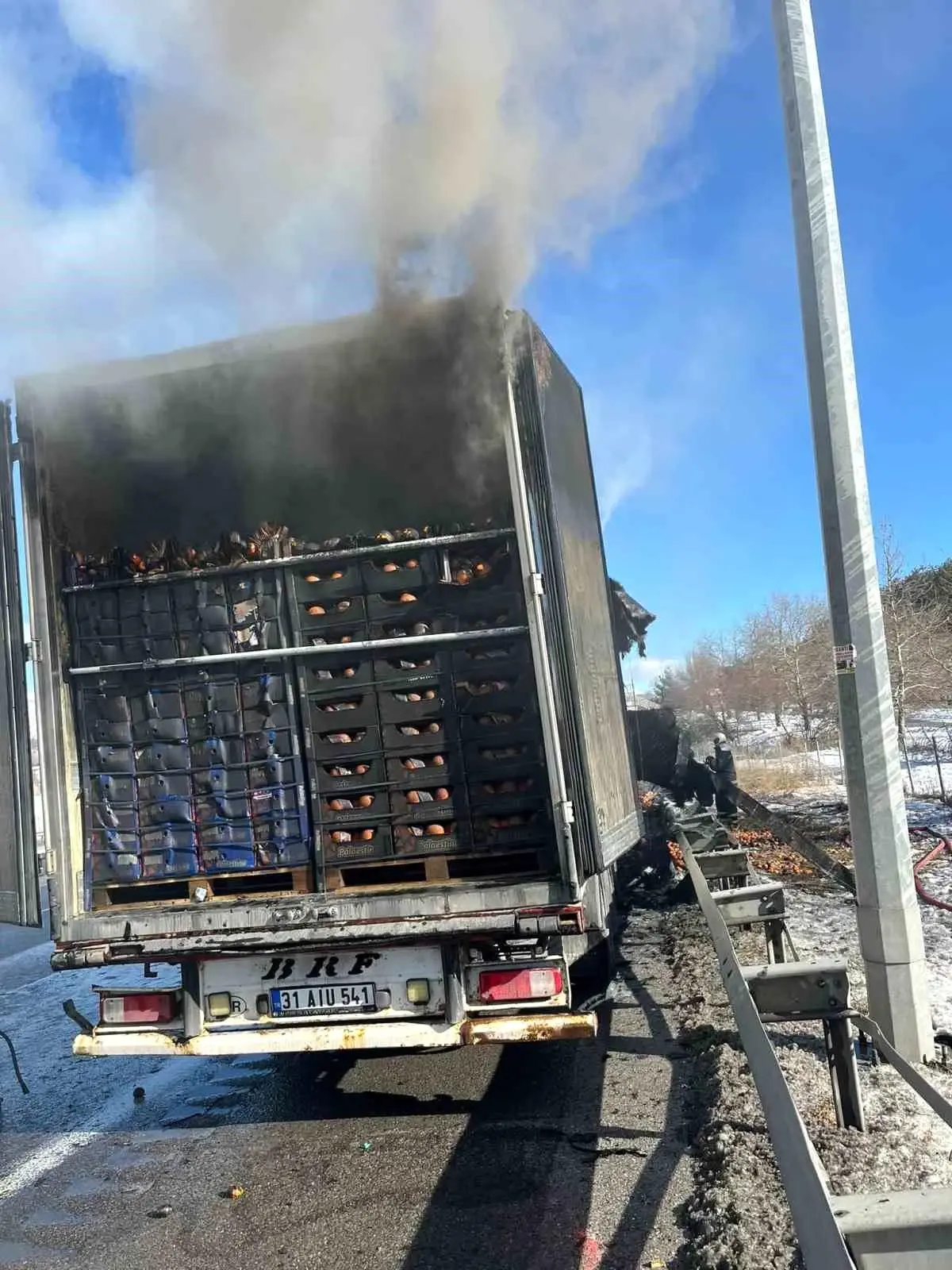 Adana-Pozantı Otoyolu'nda narenciye yüklü tır alevlere teslim oldu
