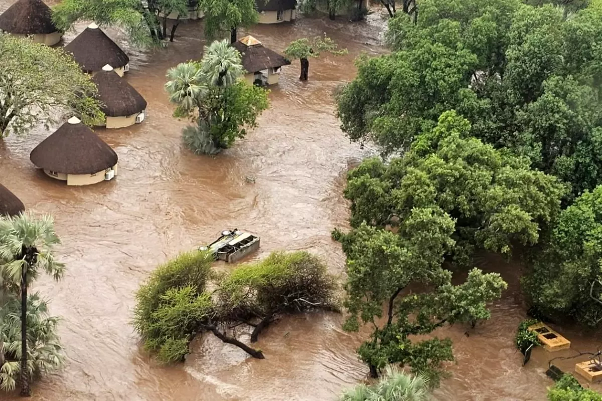 Albüm: Güney Afrika'daki Sel Felaketi Kruger Ulusal Parkı'nda Büyük Hasara Neden Oldu