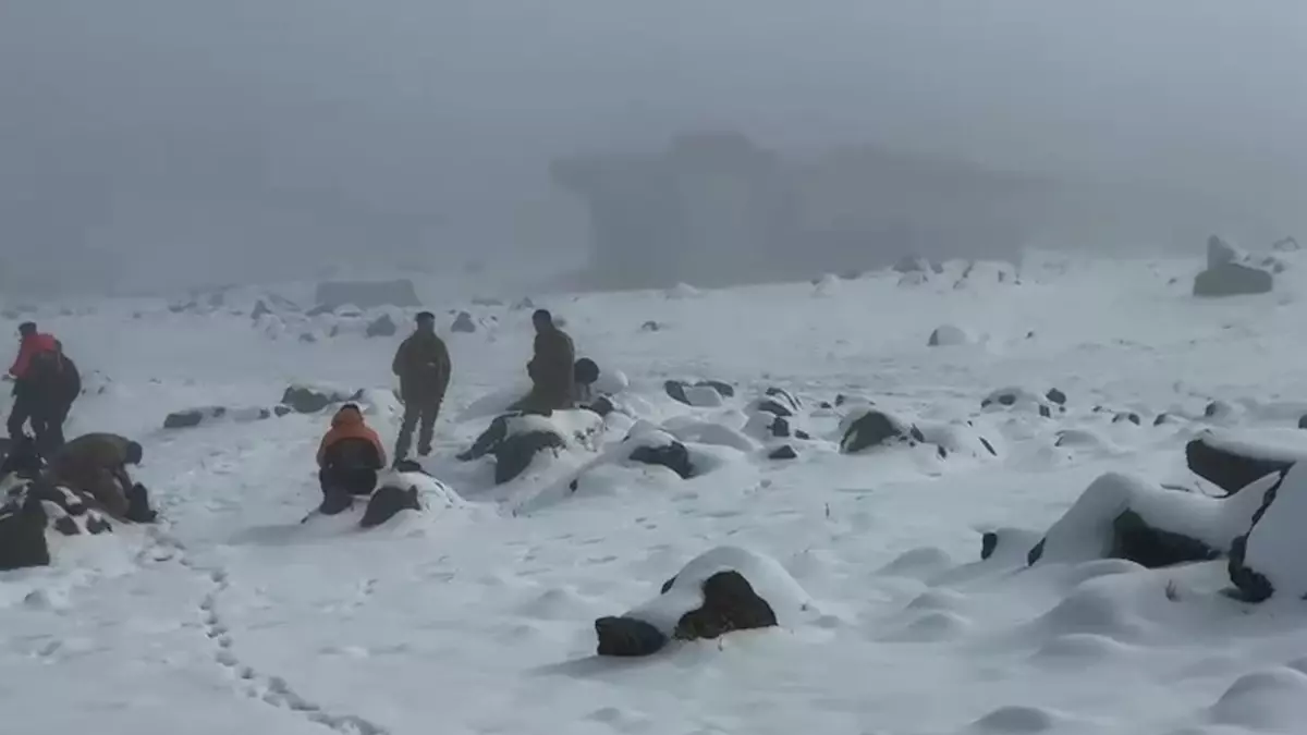 Diyarbakır'da kayıp kadından 4 gündür haber yok; aramalar soğuk ve sisli havada sürüyor