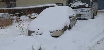 Erzurum, Kars ve Ardahan'da soğuk hava etkili oluyor