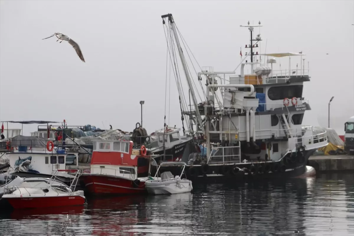 Tekirdağlı balıkçılar sis nedeniyle 2 gündür denize açılamıyor