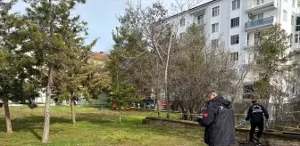 Uşak'ta Millet Bahçesi'nde bir kişi ölü bulundu