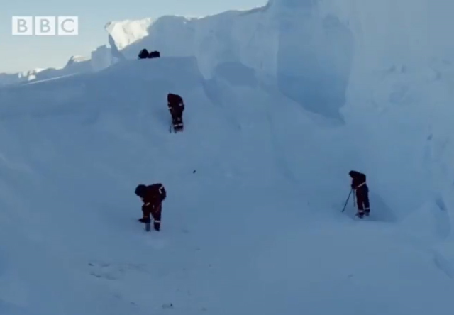 vahsi yasam ekibinden belgesel tarihine gecen 19501081 6370 m